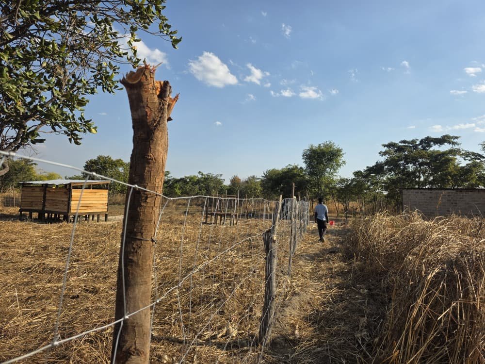 View across the Kuhunda farm from end to end